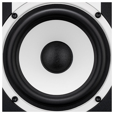 Мониторы двух полосные Fluid Audio C5